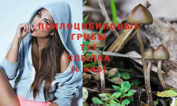 не бодяженный Абдулино