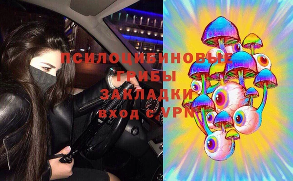 гидропоника Абаза